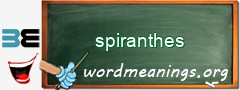 WordMeaning blackboard for spiranthes